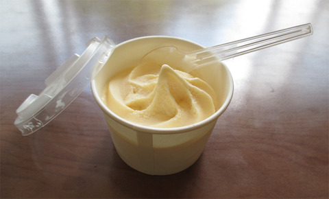 0802f.jpg
