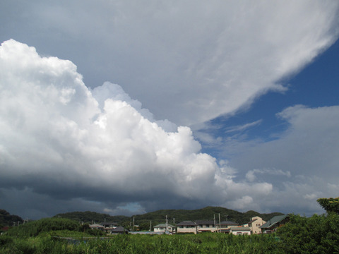 0802i.jpg