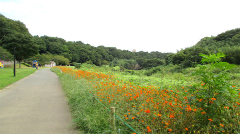 20170917a.jpg