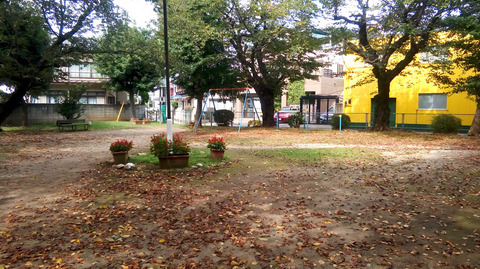 20170917e.jpg