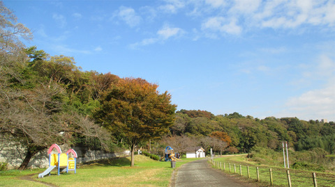 20171105e.jpg