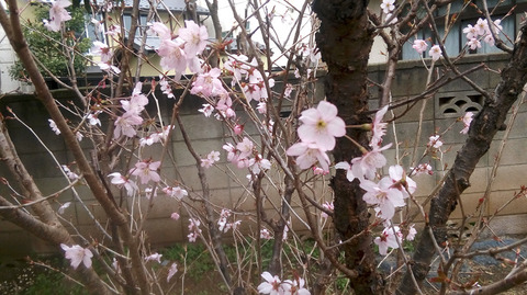20180316e.jpg