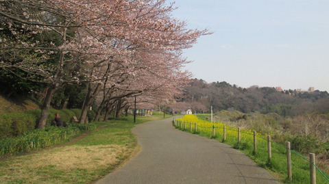 20180331b.jpg