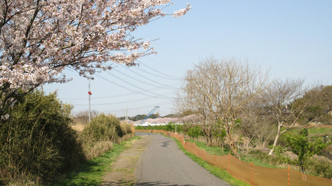20180331n.jpg