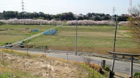 20180331w.jpg