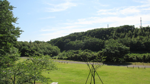 20180607c.jpg