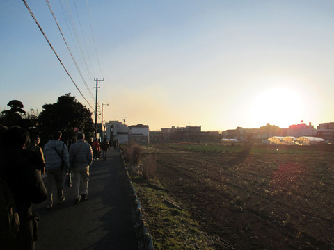 IMG_2463.jpg